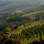 Jeruzalem, www.slovenia.info, foto: Foto Video Coppo di Marco Coppo