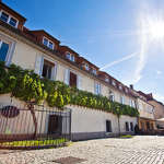 Najstarejša trta na svetu v Mariboru, www.slovenia.info, foto: Jošt Gantar