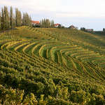 Jeruzalem, www.slovenia.info, foto: Foto Video Coppo di Marco Coppo