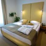 Hotel Zdraviliški dvor