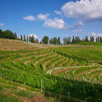 Jeruzalem, www.slovenia.info, foto: Tomo Jeseničnik