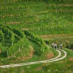 Jeruzalem, www.slovenia.info, foto: Tomo Jeseničnik