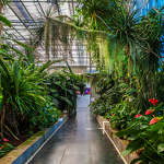 Ocean Orchids, foto: Ocean Orchids