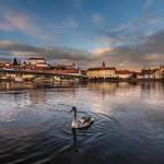 Ptuj