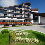 Hotel Breza ****