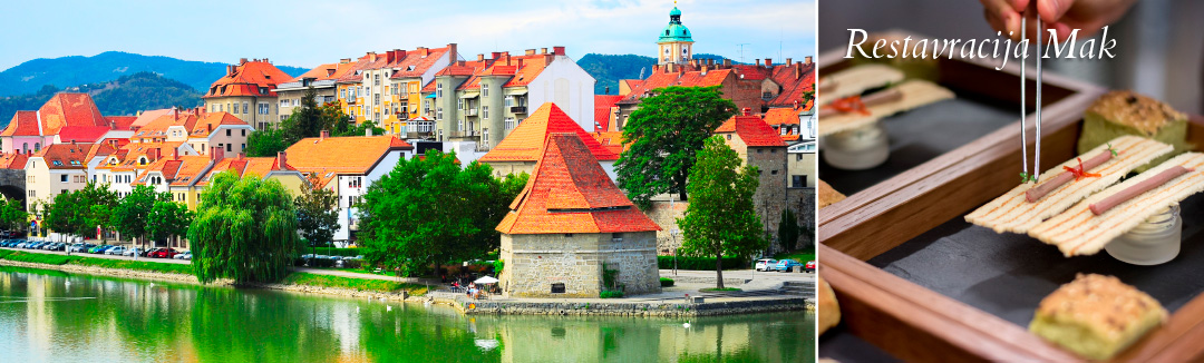 Maribor, mesto pod Pohorjem z najstarejšo trto na svetu