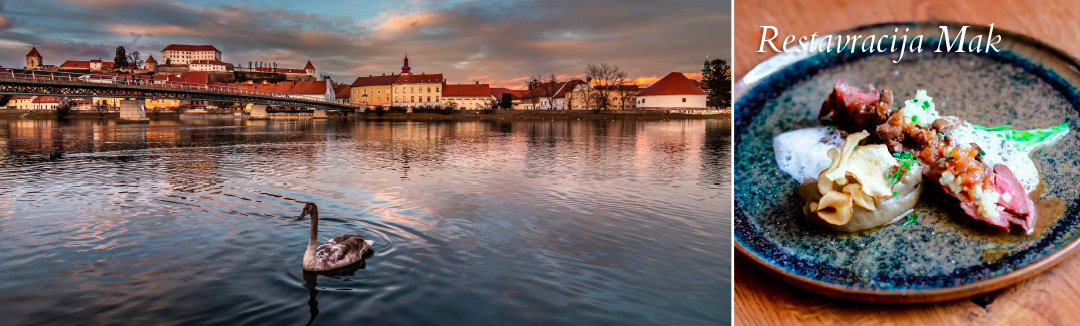 Ptuj in Maribor, najstarejše slovensko mesto in mesto z najstarejšo trto na svetu