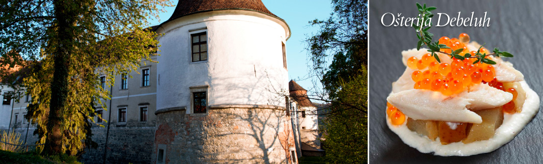 Čatež in Posavje, slikovita mesteca in srednjeveški gradovi