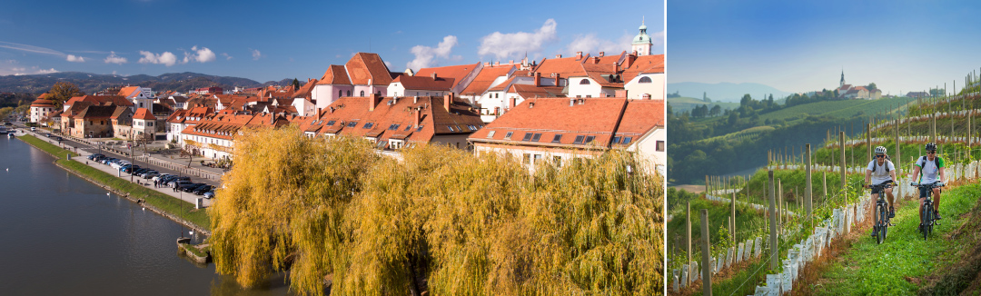 Štajerske vinske kleti