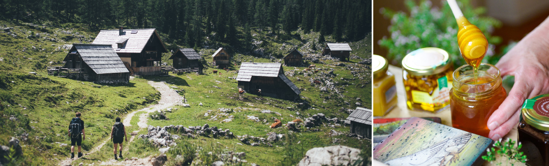 Čebele in planine