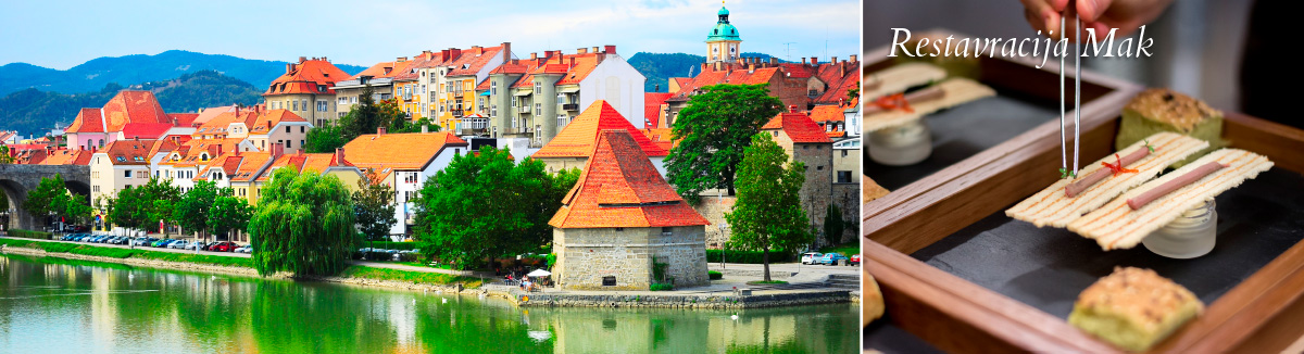Maribor, mesto pod Pohorjem z najstarejšo trto na svetu