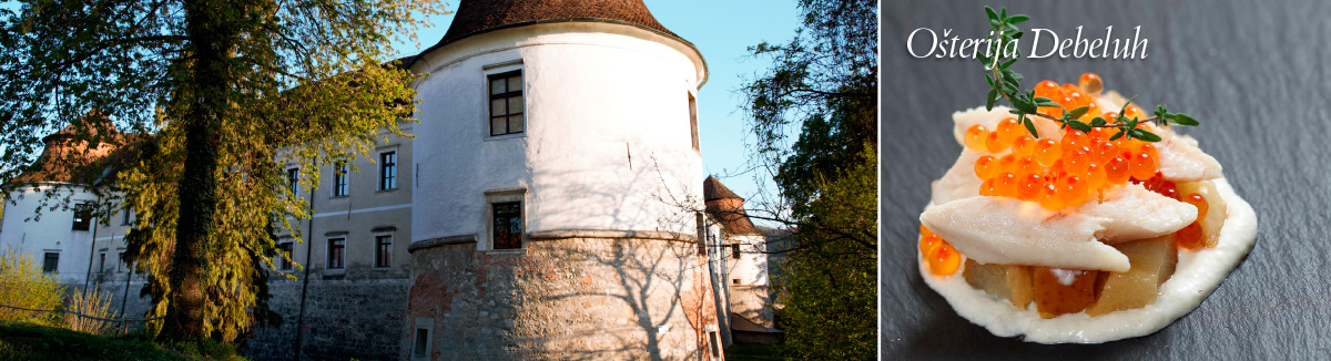 Čatež in Posavje, slikovita mesteca in srednjeveški gradovi